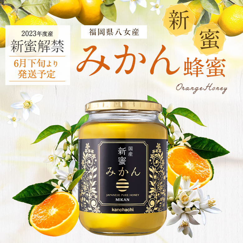 信州産〉天然はちみつ2023年 新蜜 300g - 調味料